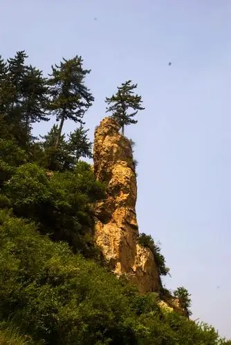 太原阳曲凌井沟自然保护区简介