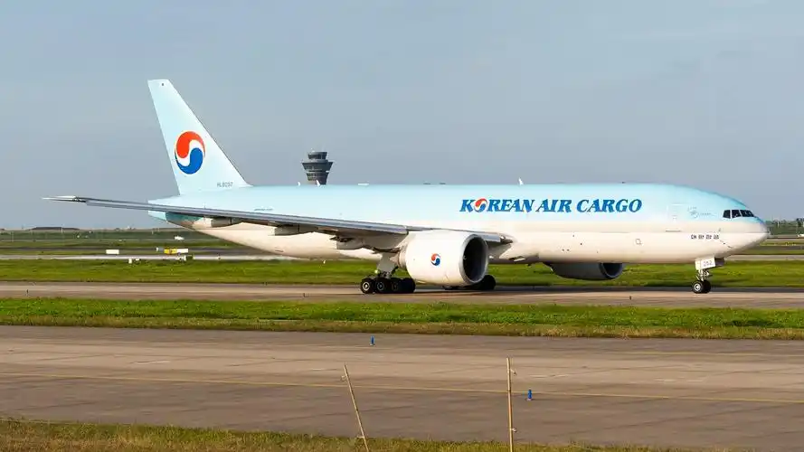 追飞机的人 #民航 #摄影 #上海浦东机场 浦东算是国内为 - 抖音