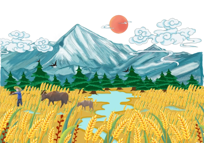 面粉包装全麦面粉包装手绘插画包装