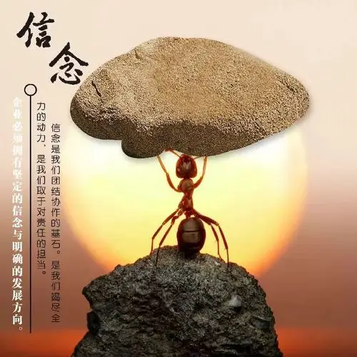 一群人,一条心,一件事,一辈子!(副本)