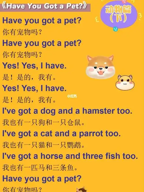 韵律感十足的英文儿歌动物篇你有宠物吗