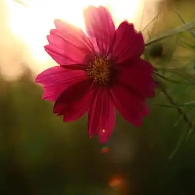 天降大任于斯人也,必将苦其心智