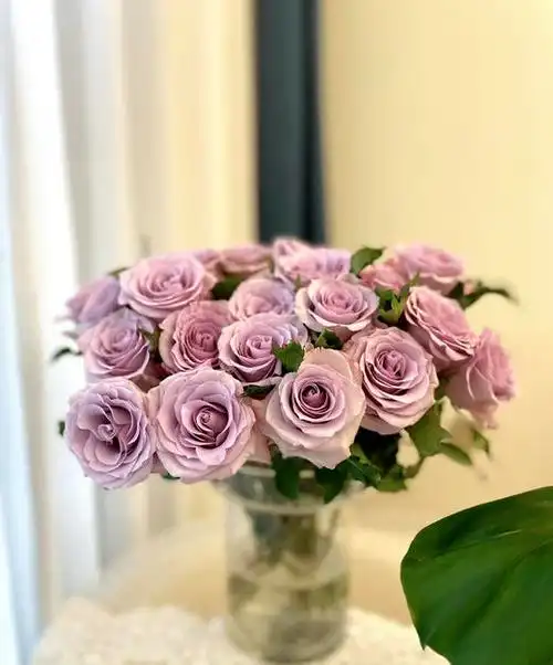 昆明玫瑰海洋之歌20支扎a级