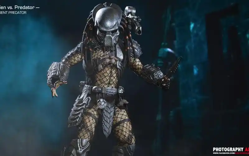 异形大战铁血战士【单人幸存初体验】_单机游戏_游戏_bilibili_哔哩