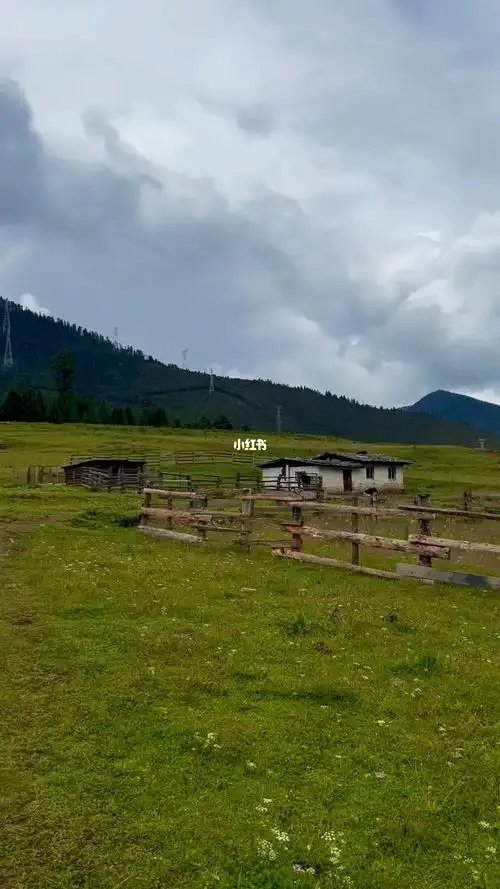 林芝鲁朗高山牧场