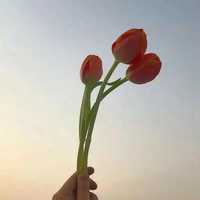 大方的头像高质量的风景好看头像