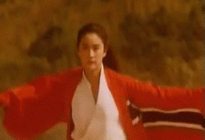 热点热门 萌宠表情 萌娃表情 斗图表情 锦鲤 土味语录 套路图 来自