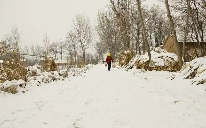 拜年是中国的过年习俗,基本上家家户户都会出去拜年,大家相聚在一起