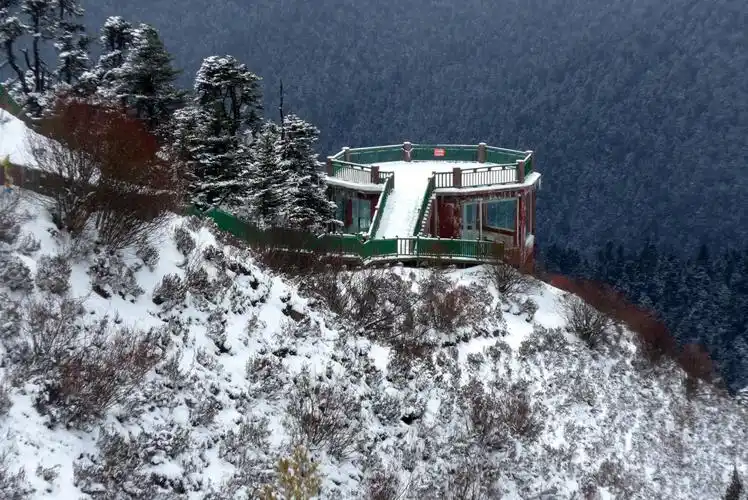 鲁朗林海观景台