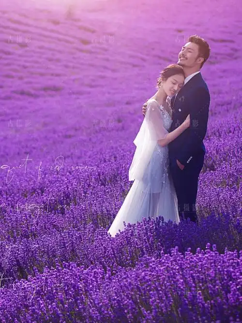 新疆旅拍薰衣草花海婚纱照紫色花海的浪漫