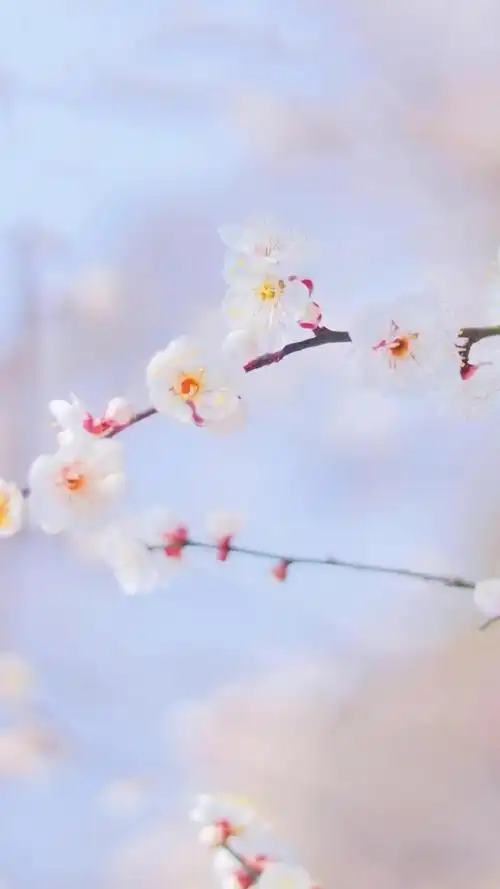 春天的景色如画