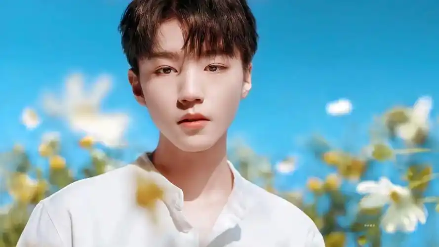 王俊凯壁纸令人窒息的外貌是心动的感觉啊