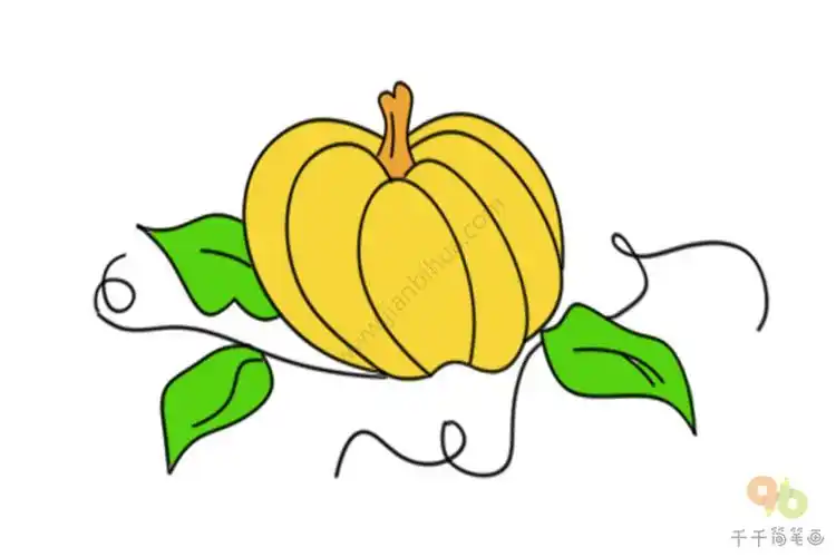 有藤叶的南瓜简笔画