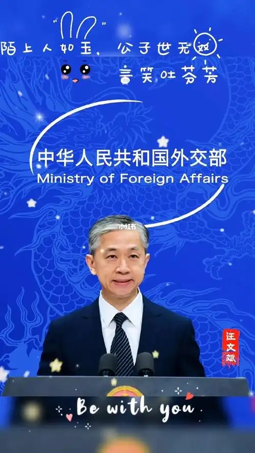 国家外交之星汪文斌