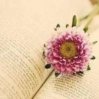 淡雅花朵微信头像图片大全点击鼠标右键下载