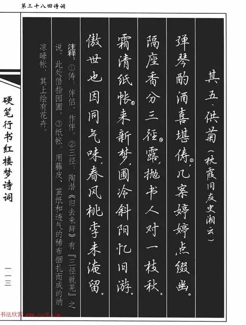 吴玉生钢笔字帖欣赏《硬笔行书红楼梦诗词》 - 第18页 _钢笔字帖_书法