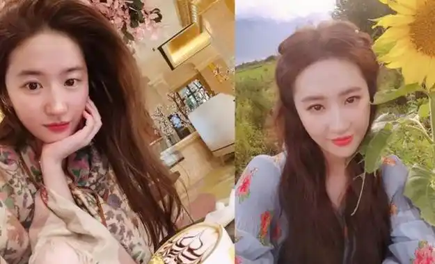 刘亦菲一家三代照片曝光,被日韩评为"最美女星",神颜实至名归|杨颖