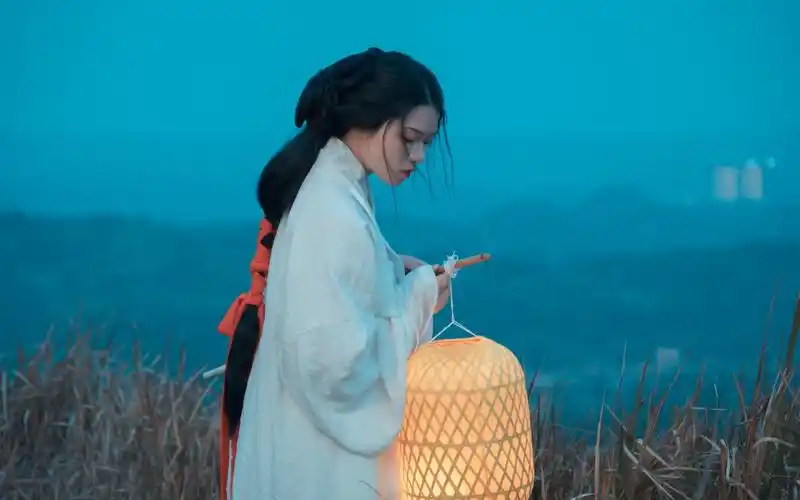 【尼康z5/4k】等风来,不如追风去|flat模式,古风人像视频调色