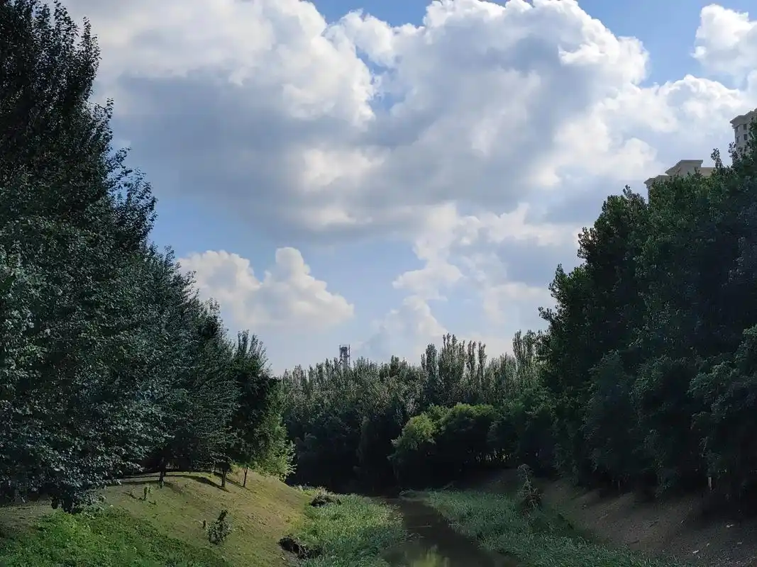 summer.夏天就是艳阳 风景 绘画 学习与你 #这个夏天 - 抖音