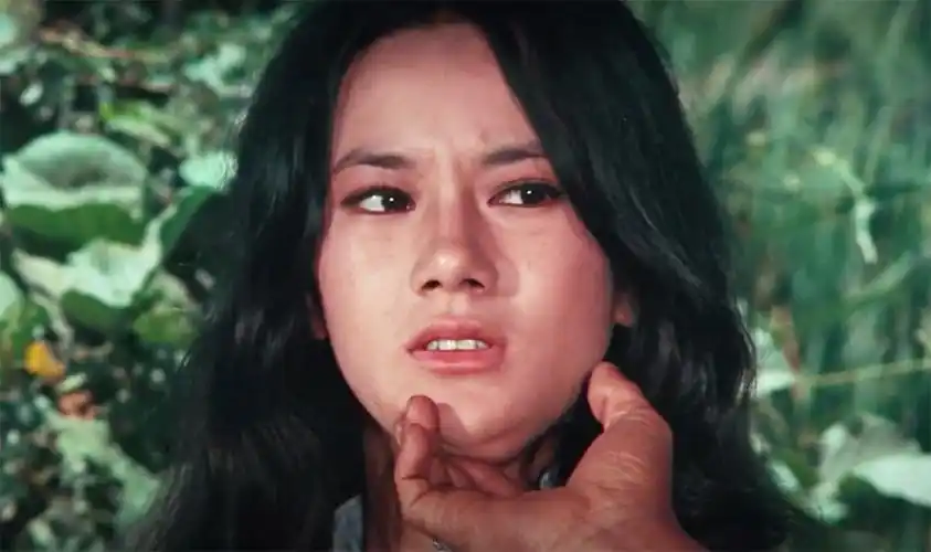 李小龙"银幕情侣"苗可秀出镜,67岁气质犹在,高清镜头下不显老