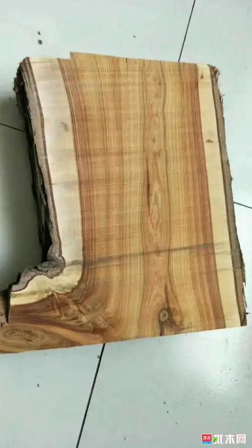 红心柏 黄柏 香柏 - 批木网