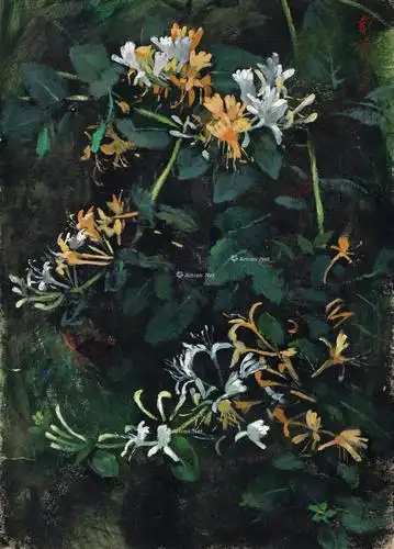 0795 1988年作 金银花 纸本油彩