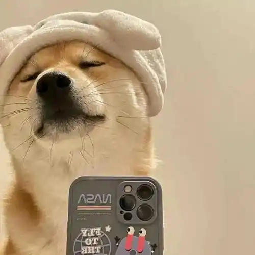 有哪些沙雕头像推荐?