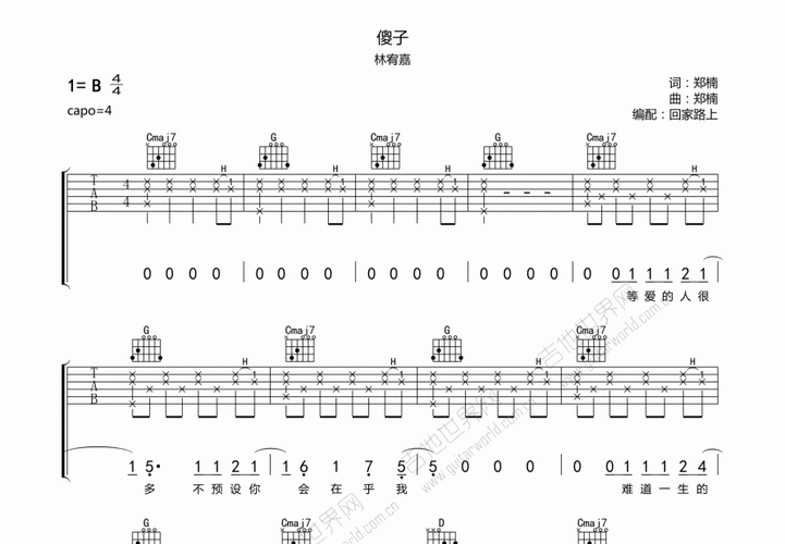 傻子吉他谱_林宥嘉_b调弹唱 - 吉他世界