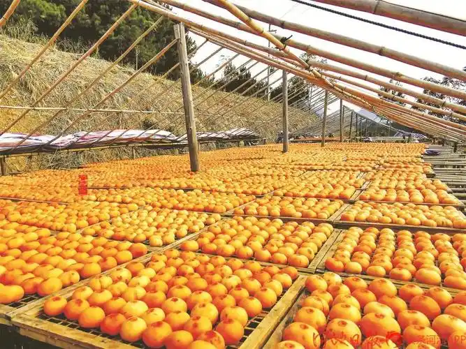 增速广西第一去年河池市第一产业增加值23006亿元