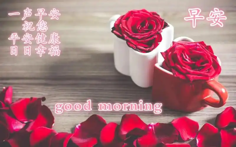 2021年清晨早安问候祝福语大全 早上好朋友圈的关心问候语句子图片