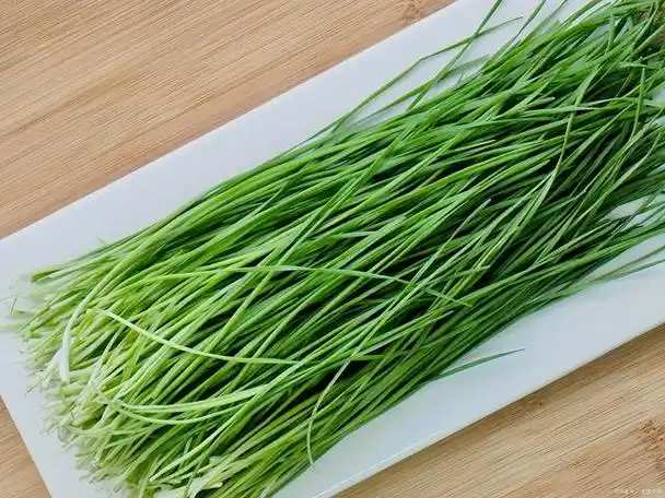 韭菜:营养之王,美味的秘密揭晓!