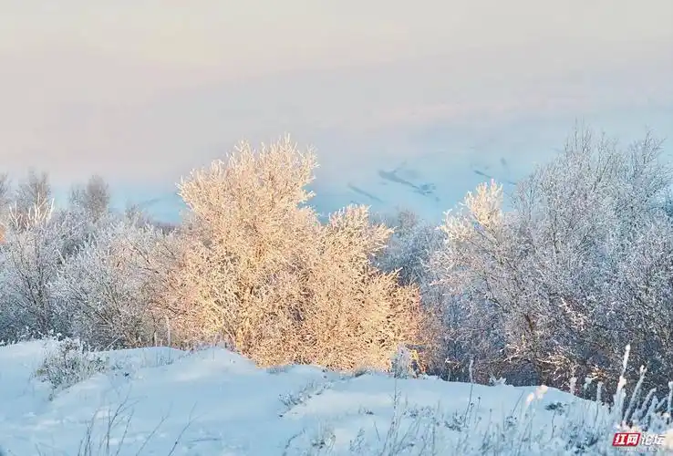 2021年的第一场雪
