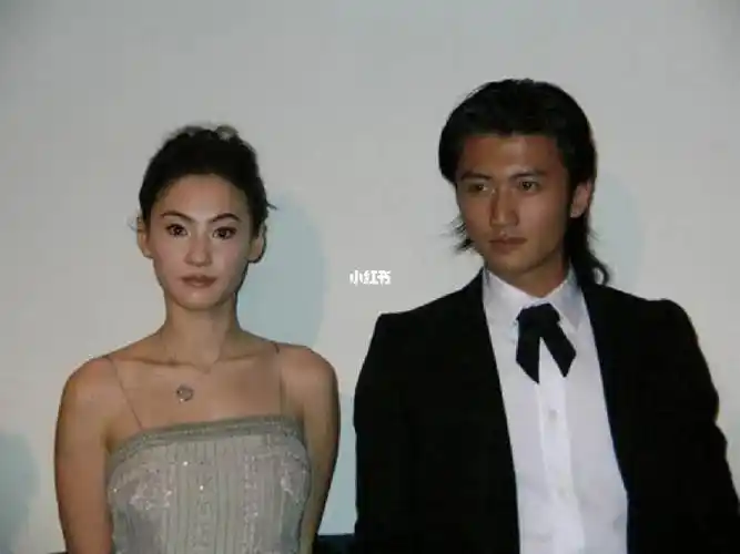 张柏芝and谢霆锋