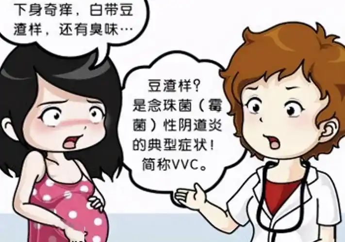 外阴阴道假丝酵母菌病,细菌性阴道病,滴虫阴道炎,其中外阴阴道假丝