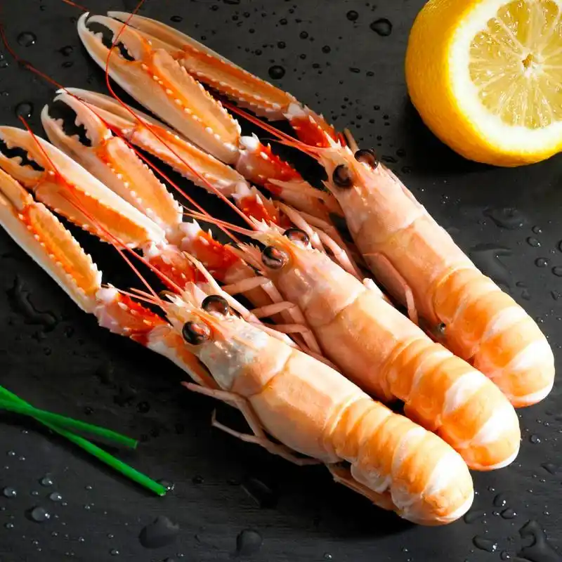 新西兰鳌虾为何能称为"虾中宾利"?