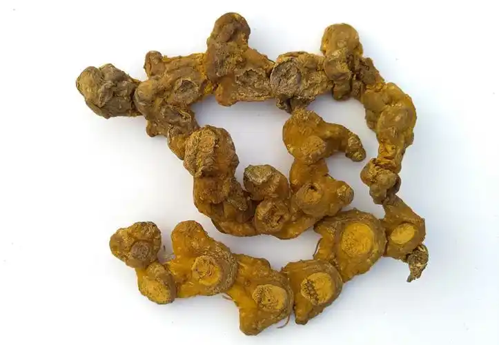 大黄精野生黄精大黄精长黄无硫精鸡头黄精