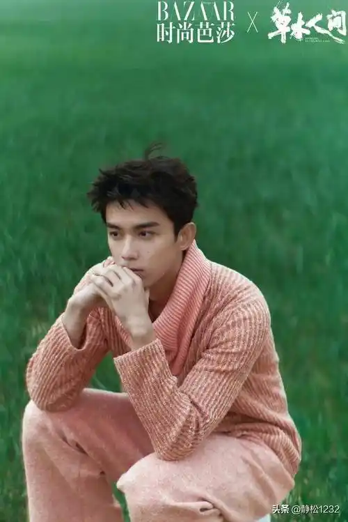 内娱真正的神颜是他们,林更新刘学义张凌赫陈星旭杨洋_帅哥_邓为_吴磊