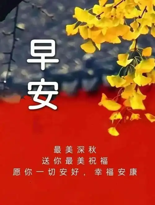2023微信新版早安问候祝福语图片带字温馨漂亮的早上好祝福图片