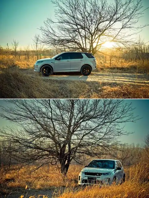 撒野夕阳下和发现运动一起奔向荒野