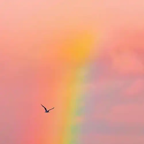 治愈系粉色天空高清壁纸