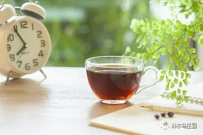 或者懒懒地望着头顶的蓝天 捧一杯茶,读一本书 身边阳光舞照 生活如此