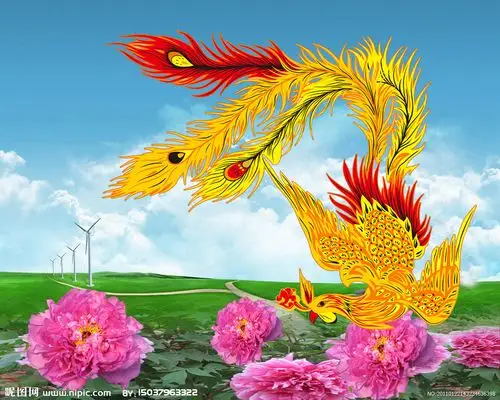 凤凰 牡丹 蓝天