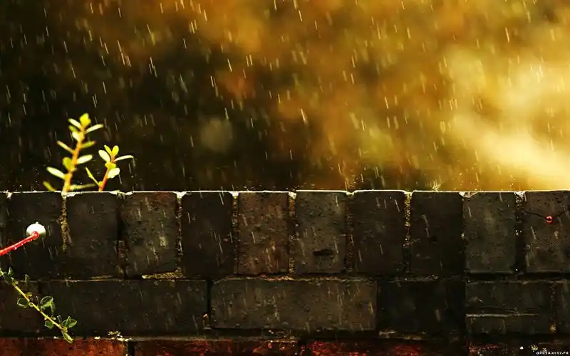 情深深雨蒙蒙唯美的雨季摄影