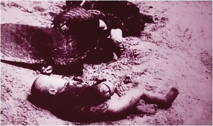 《历史的回眸——日军侵华罪行与审判战犯》,第44页〕鲁家峪惨案之薯