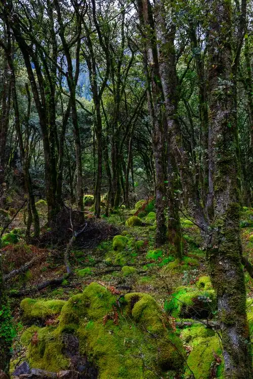 中国有哪些藏在深山老林的鲜为人知却景色优美的地方? - 知乎