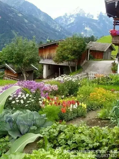 回归田园生活:愿有一院,种菜!