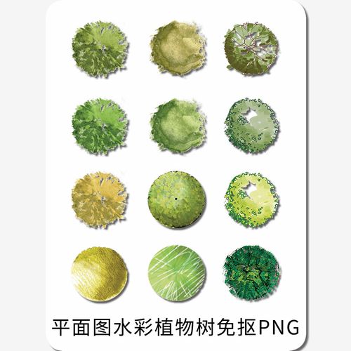 水彩平面树免抠png建筑设计景观设计水彩风格植物平面树psd素材
