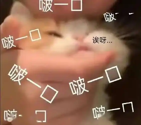 在忙表情包 超实用的表情包_公众_il_熊猫头