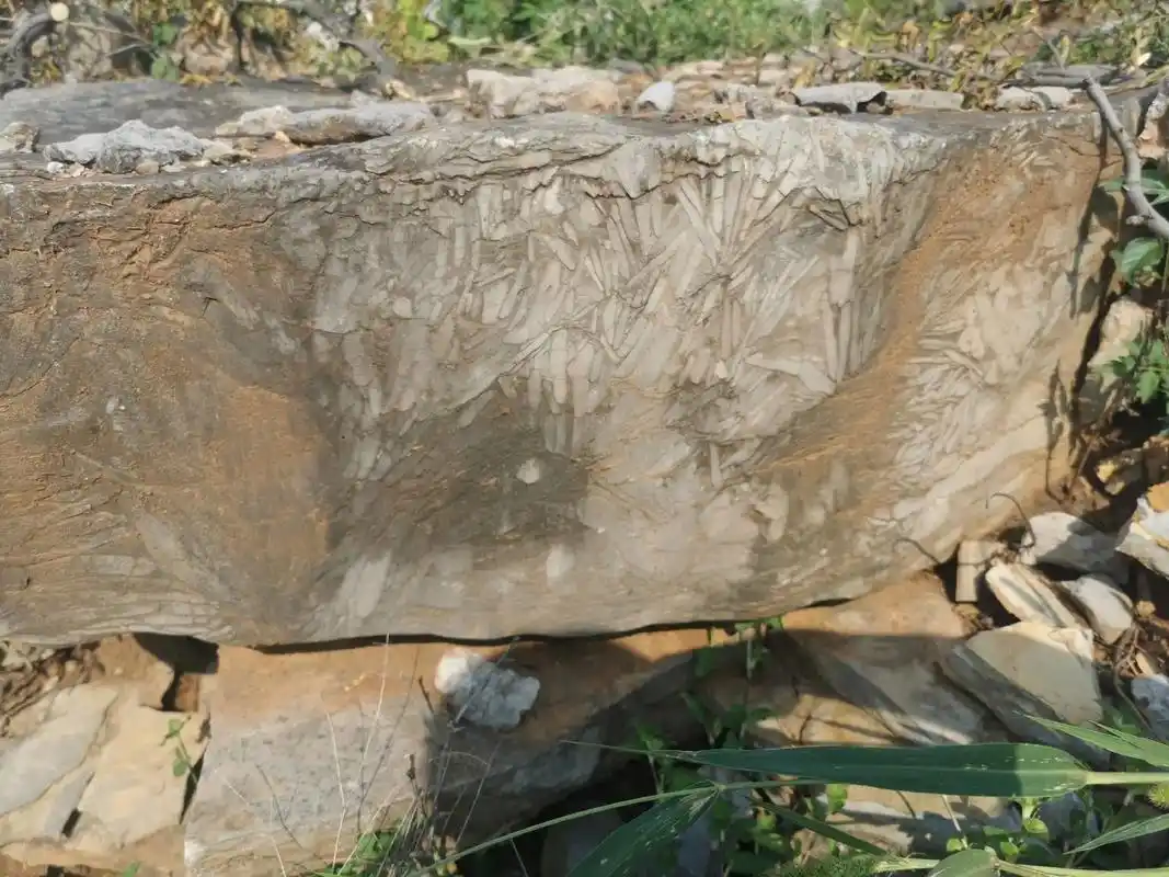 现有大量竹叶石(柳叶石),坐标山东. 价格冰点,来个有实力老 - 抖音