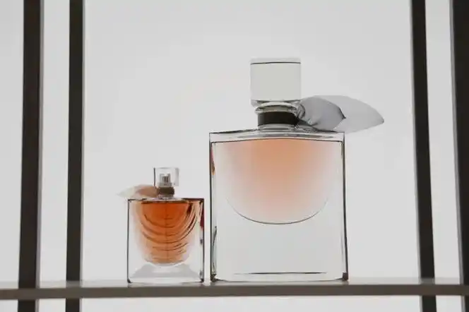 我在巴黎卢浮宫揭秘:全世界最厉害的香水展,和一瓶香水的诞生__财经头